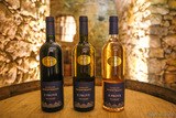 Vin E Prove Domaine Maestracci Feliceto