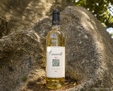 Bottle of BG Blanc - Clos Canarelli cuvée in Figari, Corsica