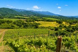 Clos Canarelli vineyard estate - Figari in Southern Corsica
