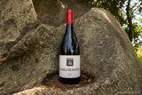 Bottle of Tarra di Sognu Rouge - Clos Canarelli wine near Bonifacio