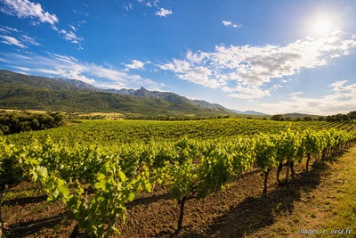 Clos Canarelli vineyard estate - Figari in Southern Corsica