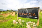 Domaine A Peraccia