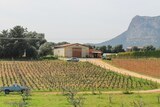 Domaine A Peraccia