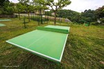Table de ping pong