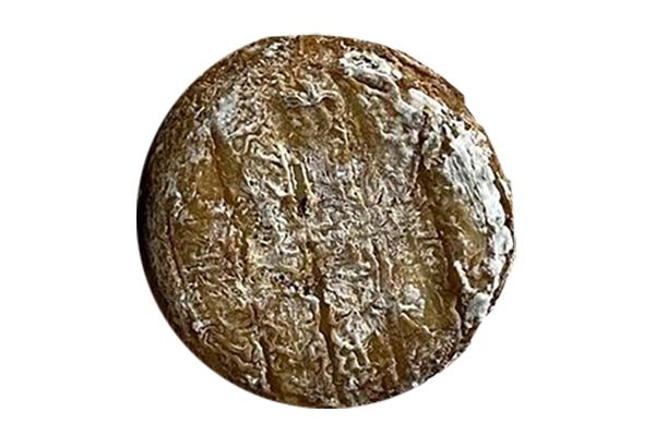 Casgiu merzu, le fromage aux vers