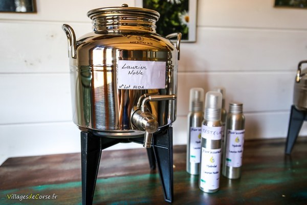 Différence entre hydrolat et huile essentielle