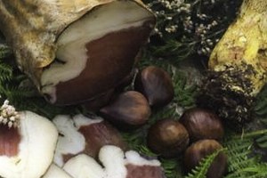 Lonzu - Salumi di Corsica