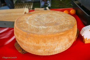 Tomme Corse