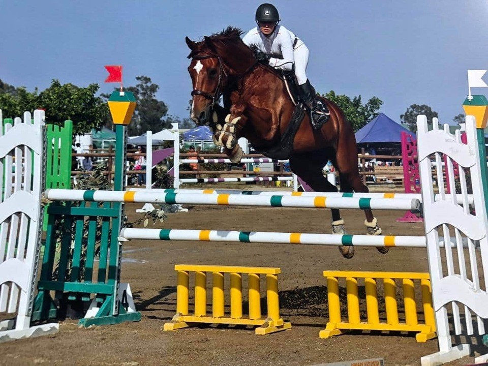 Equitation Corse