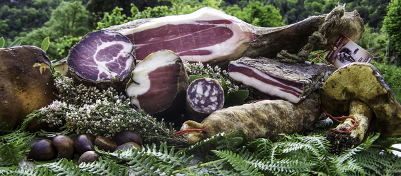 Charcuteries corses : saucisson, lonzu, coppa, figatellu, prisuttu