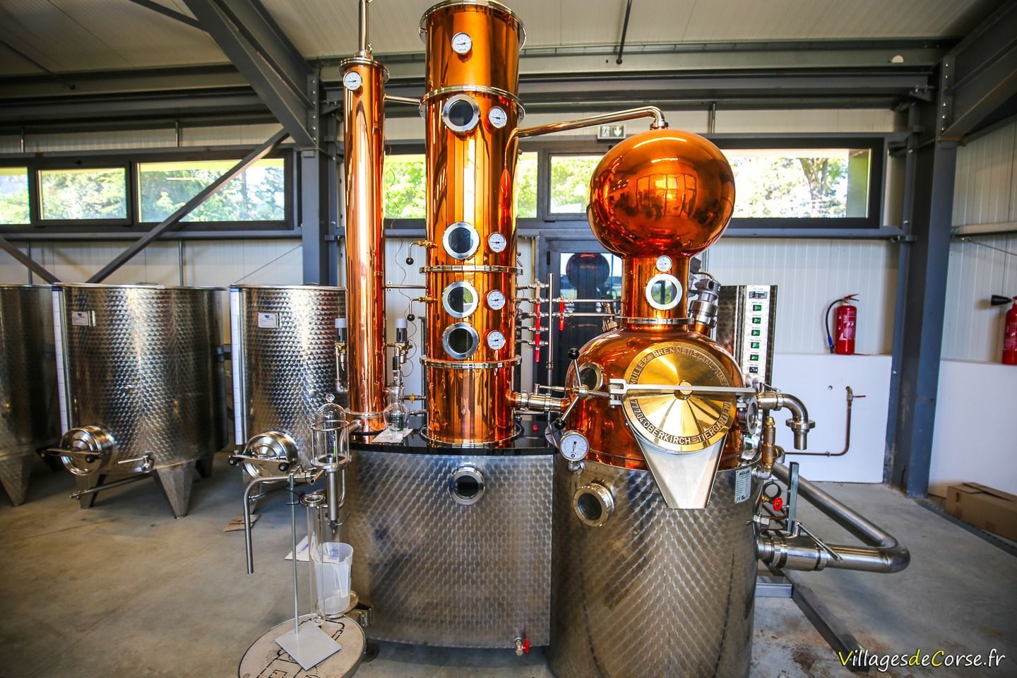 Alambic de distillerie liquoriste corse