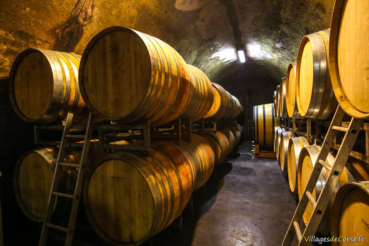 Domaine viticole en Corse
