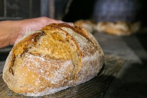 Bakery