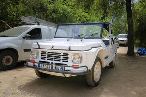 Location voiture