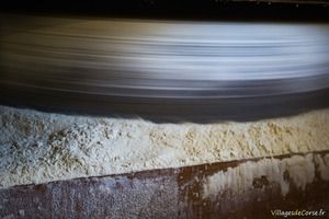 Chesnut flour