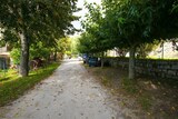 Straße - Altagène