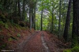 Wald Aullène - 17/10/2020