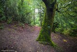 Sentier Aullene - 17/10/2020