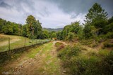 Sentier - Aullène