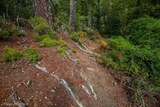 Aullène Hiking Trail - 17/10/2020