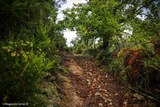 Sentier Randonnee Aullene - 17/10/2020