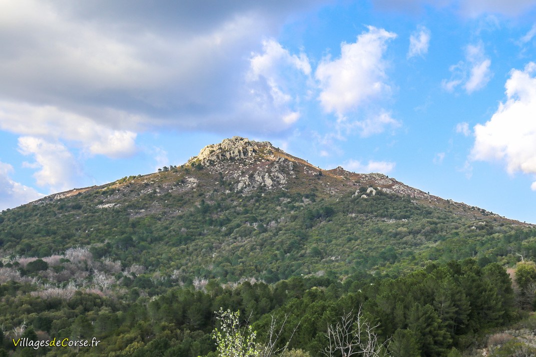 Mont - Punta a Giuvanna - Aullène