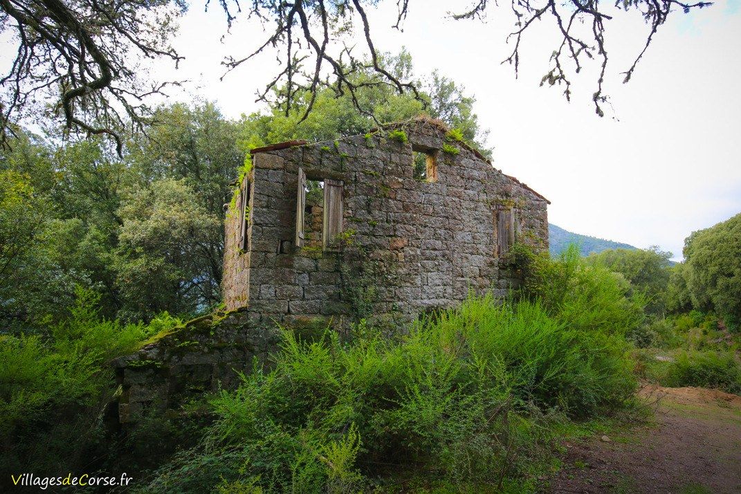 Ruine - Carbini