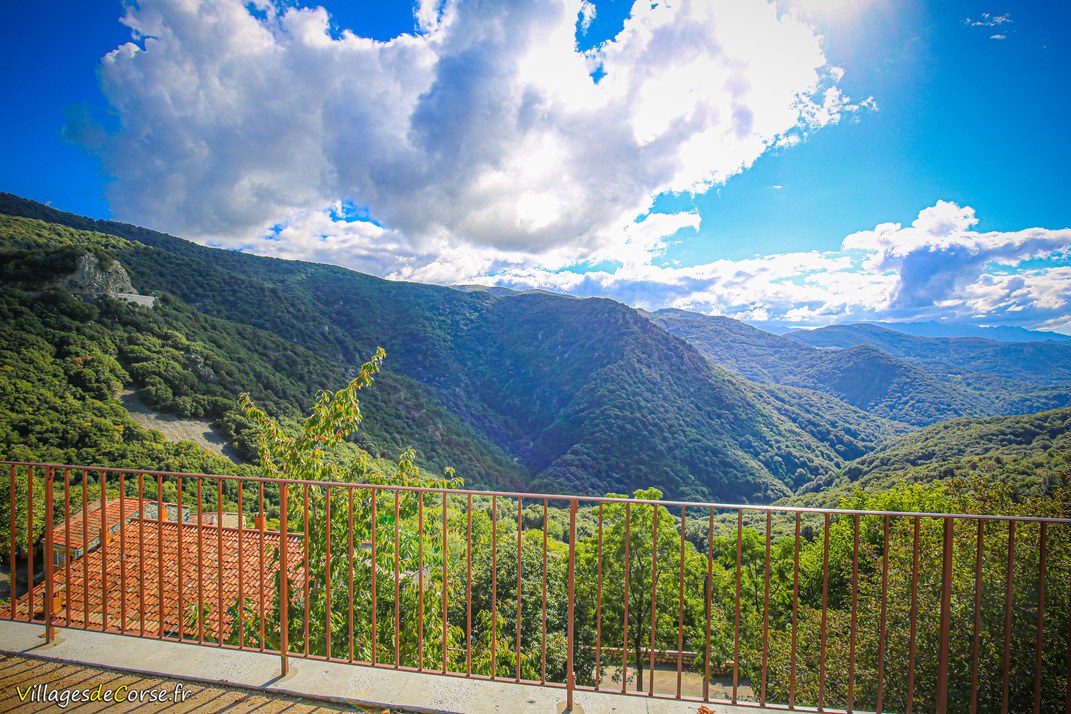 View - Cargiaca
