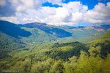 Paysage - Sainte Lucie de Tallano