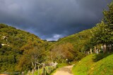 Paysage - Sainte Lucie de Tallano