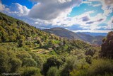 Village - Sainte Lucie de Tallano