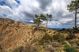 Monte Acciaiu - Zérubia