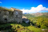 Village - Zirubia