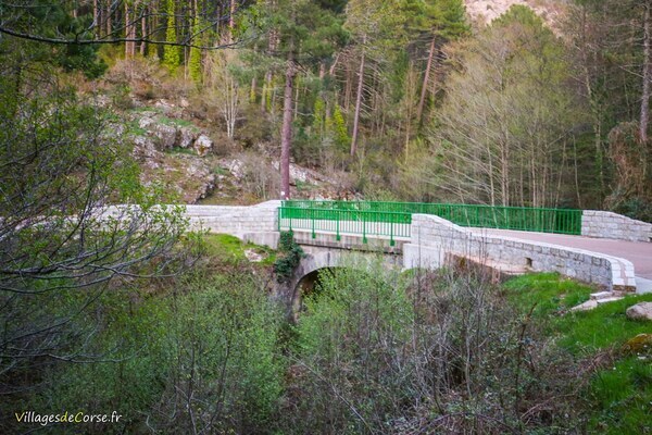 Pont neuf - Zonza