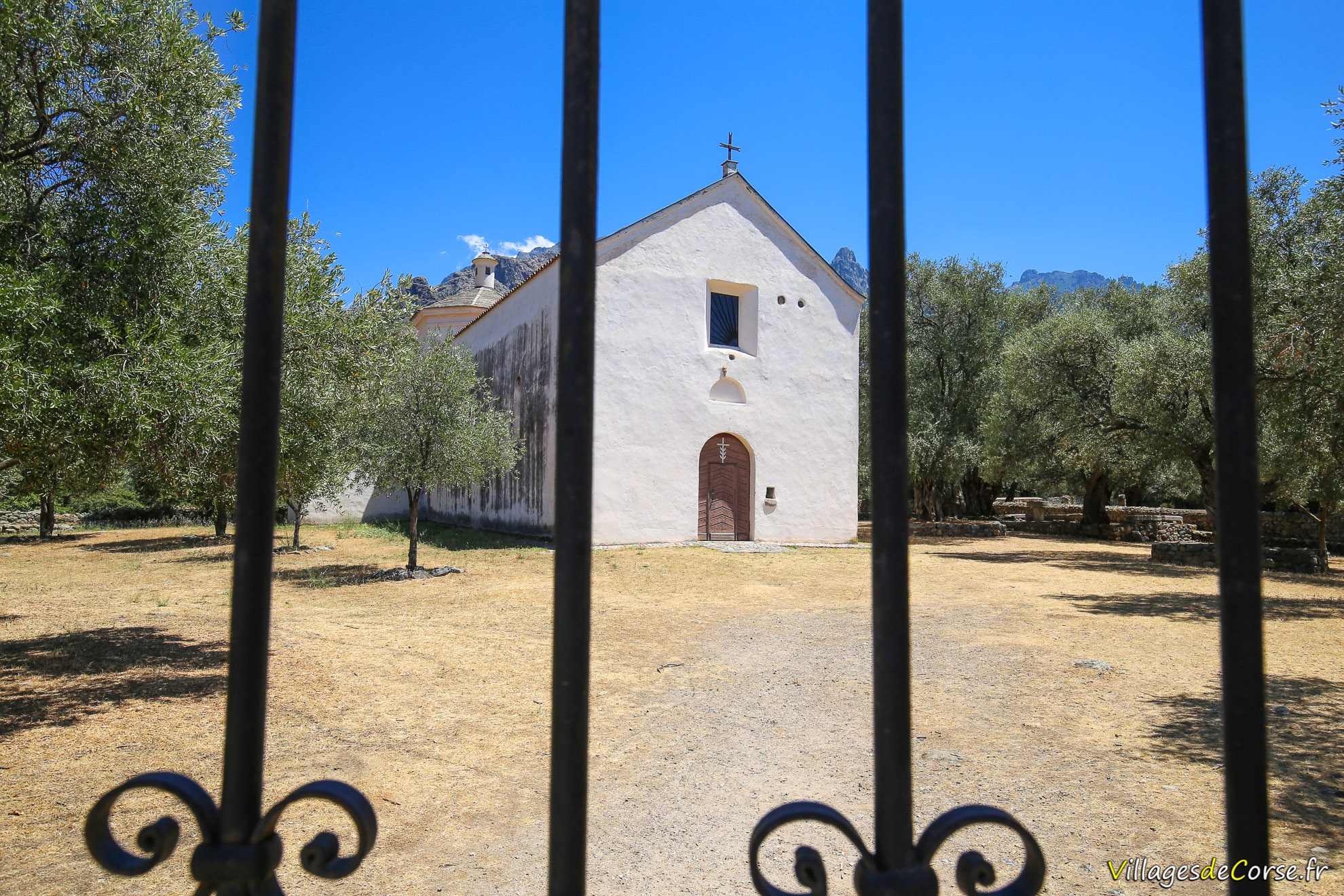 Eglise - Sainte Restitude - Calenzana