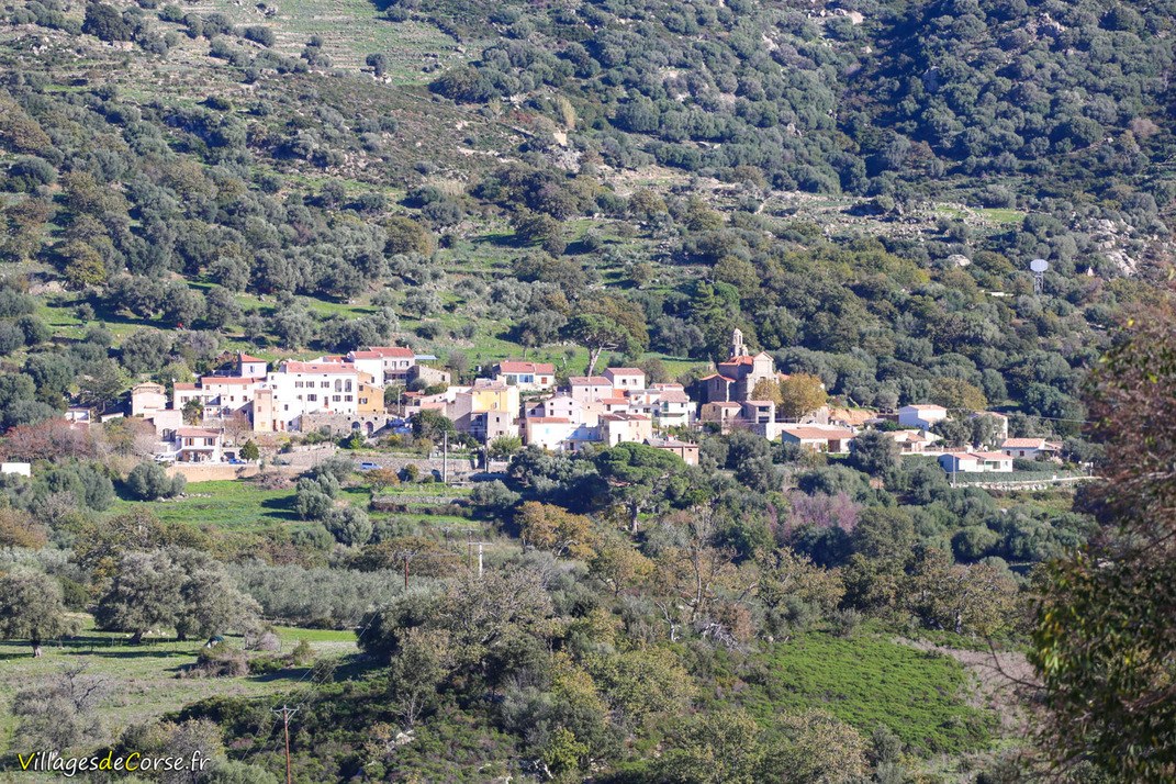 Hameau - Lunghignani - Montegrosso