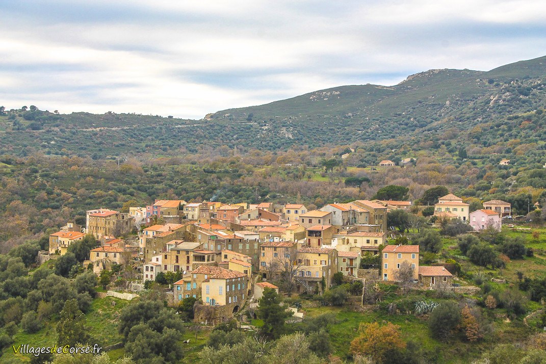Village - Montegrosso