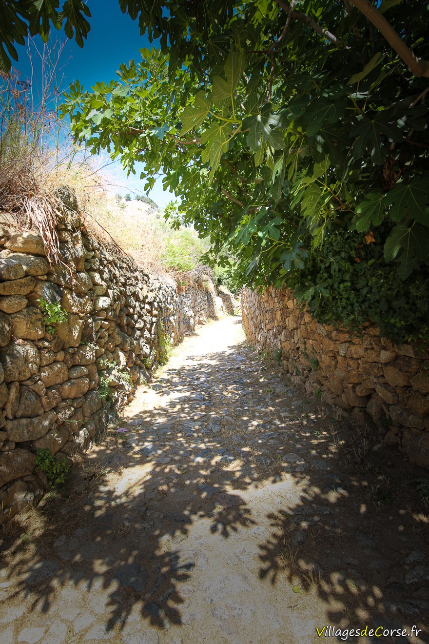 Sentier - Santa Reparata di Balagna