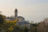 Campanile - Canari