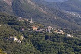 Centuri Cap Corse - 15/08/2014