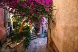 Alley - Nonza