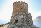 Tour Génoise Albo à Ogliastro, le 16/06/2017