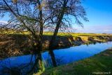 Canal - Venzolasca