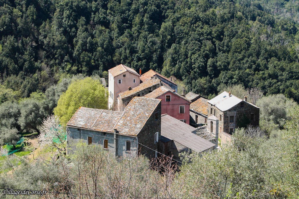  - Bisinchi