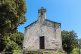 Rostino