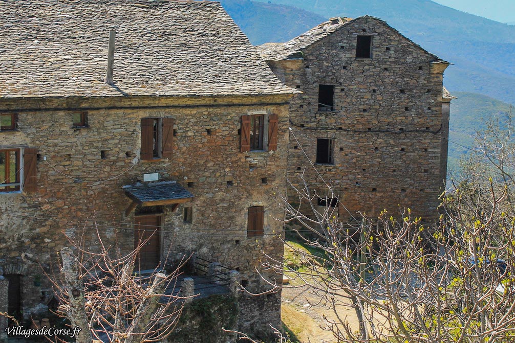 - Bisinchi