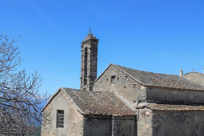 Rostino