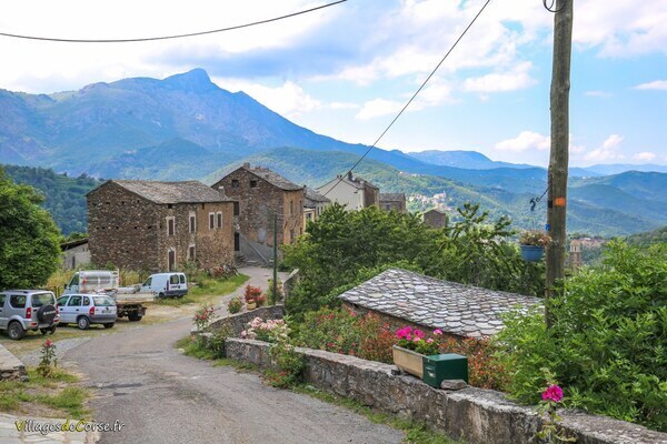 Village - Carpineto