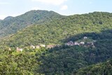 View - Carpineto