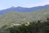 View - Carpineto